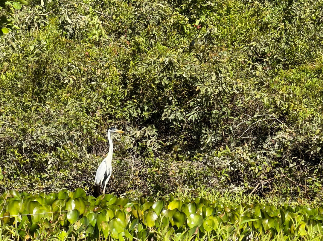 Projeto Salobra Ecologia e Turismo-米兰达必去景点