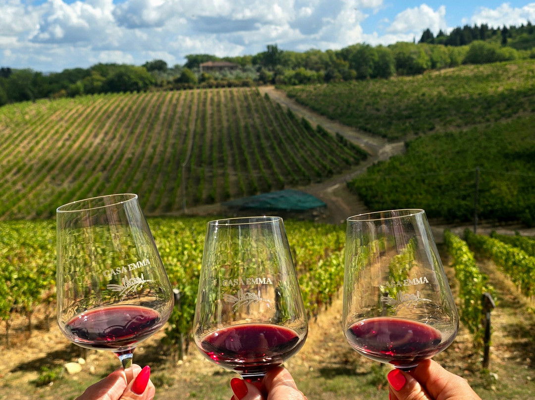 Scenic wine tours in Tuscany-Loro Ciuffenna必去景点