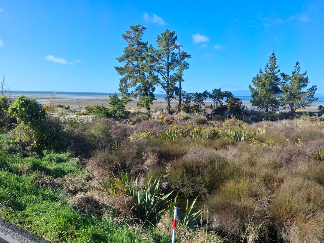 Farewell Spit Eco Tours-Collingwood必去景点