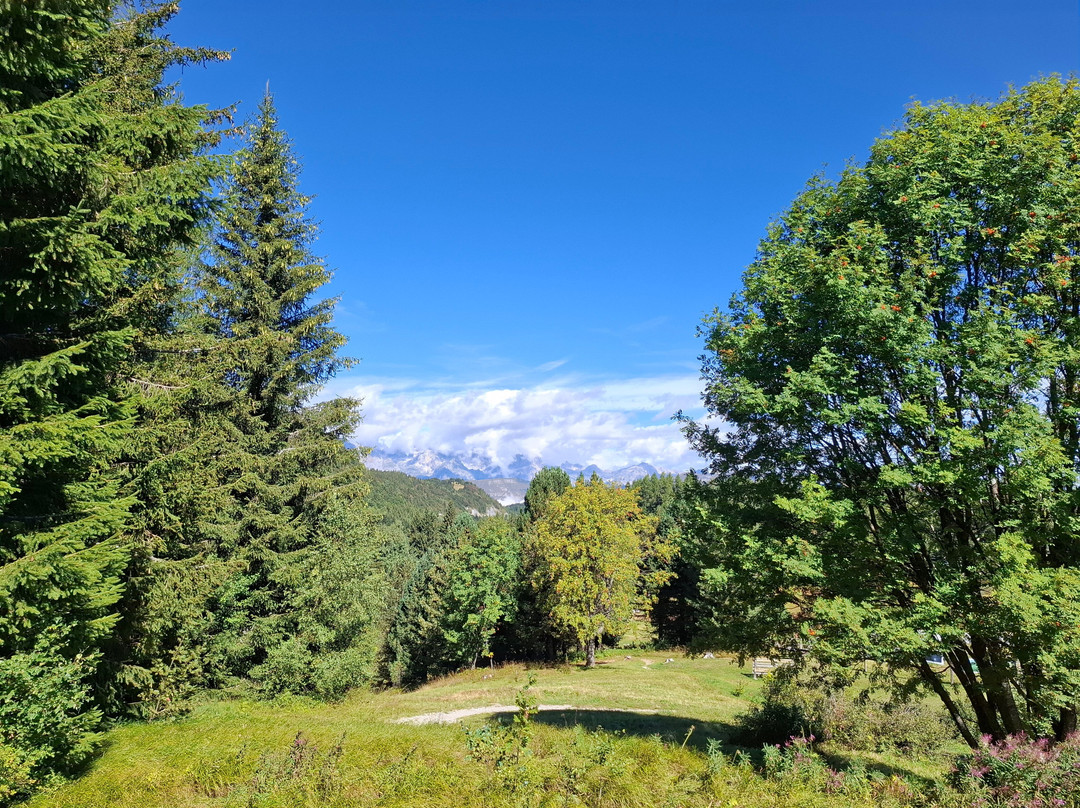 Giardino Botanico Alpino Viote di Monte Bondone-特伦托必去景点
