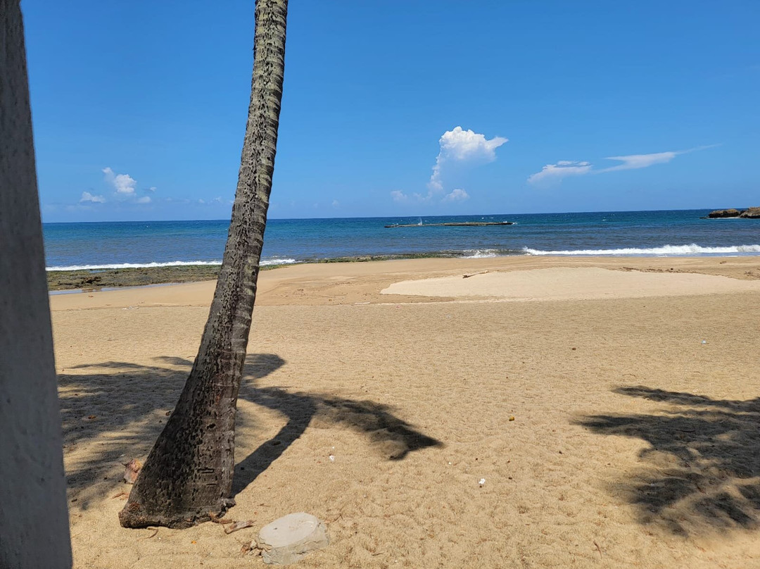 Brusea by the Beach