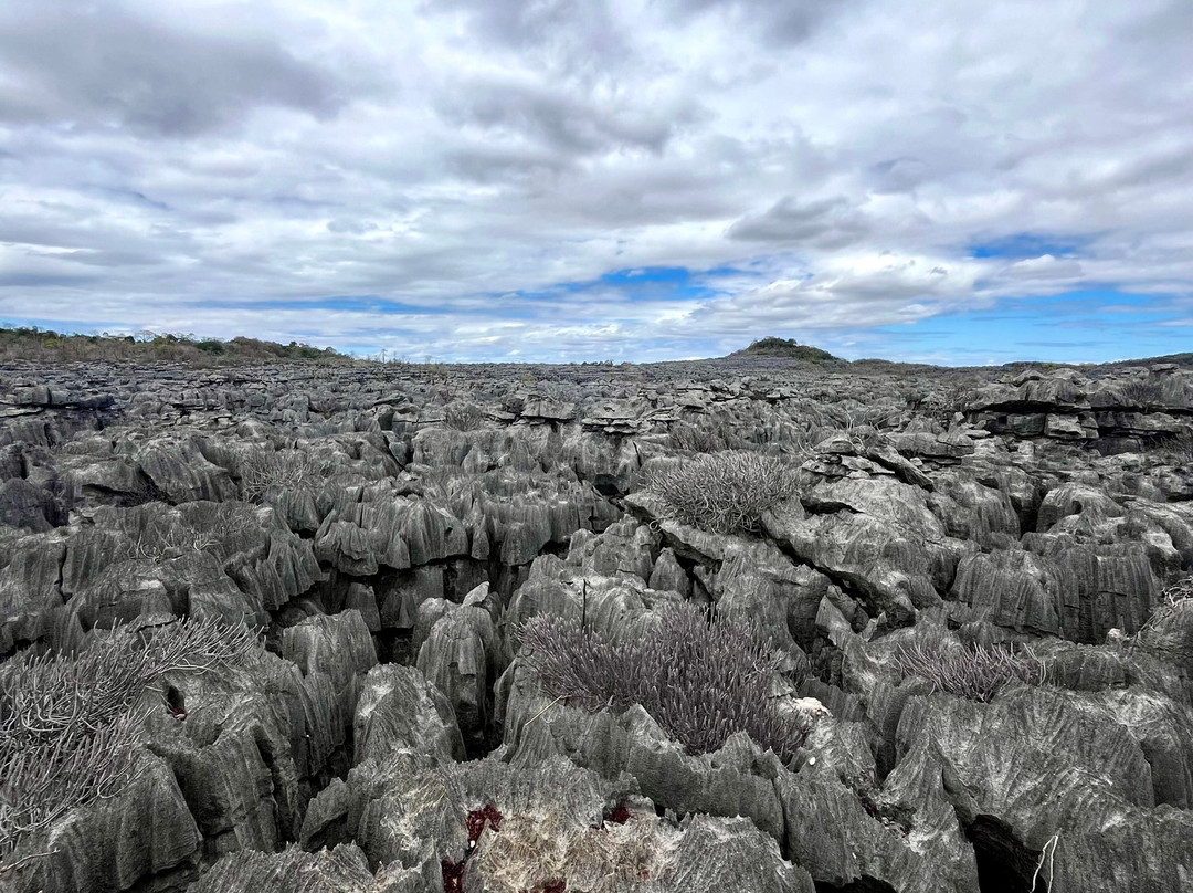 Madagascar Tour Severino-Dzamandzar必去景点