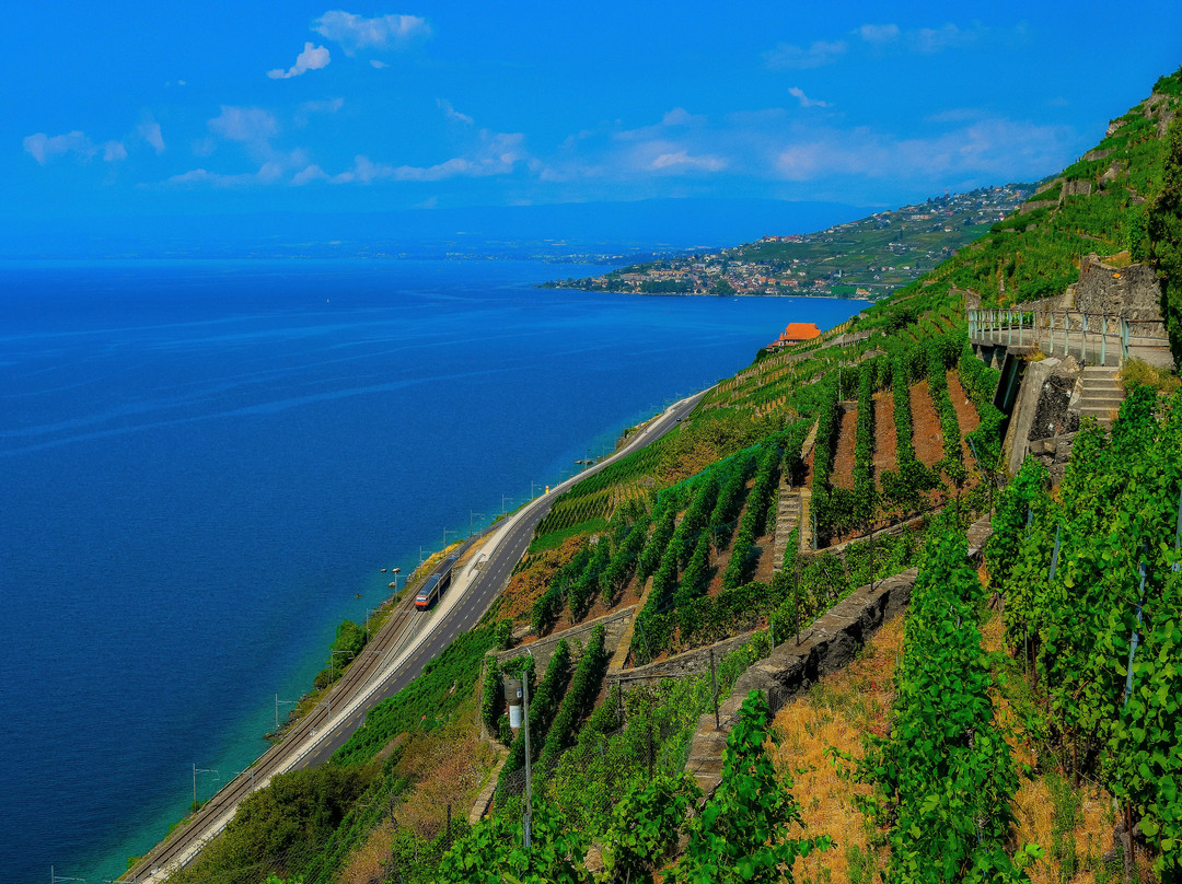 Lavaux Vineyard Terraces-居利必去景点