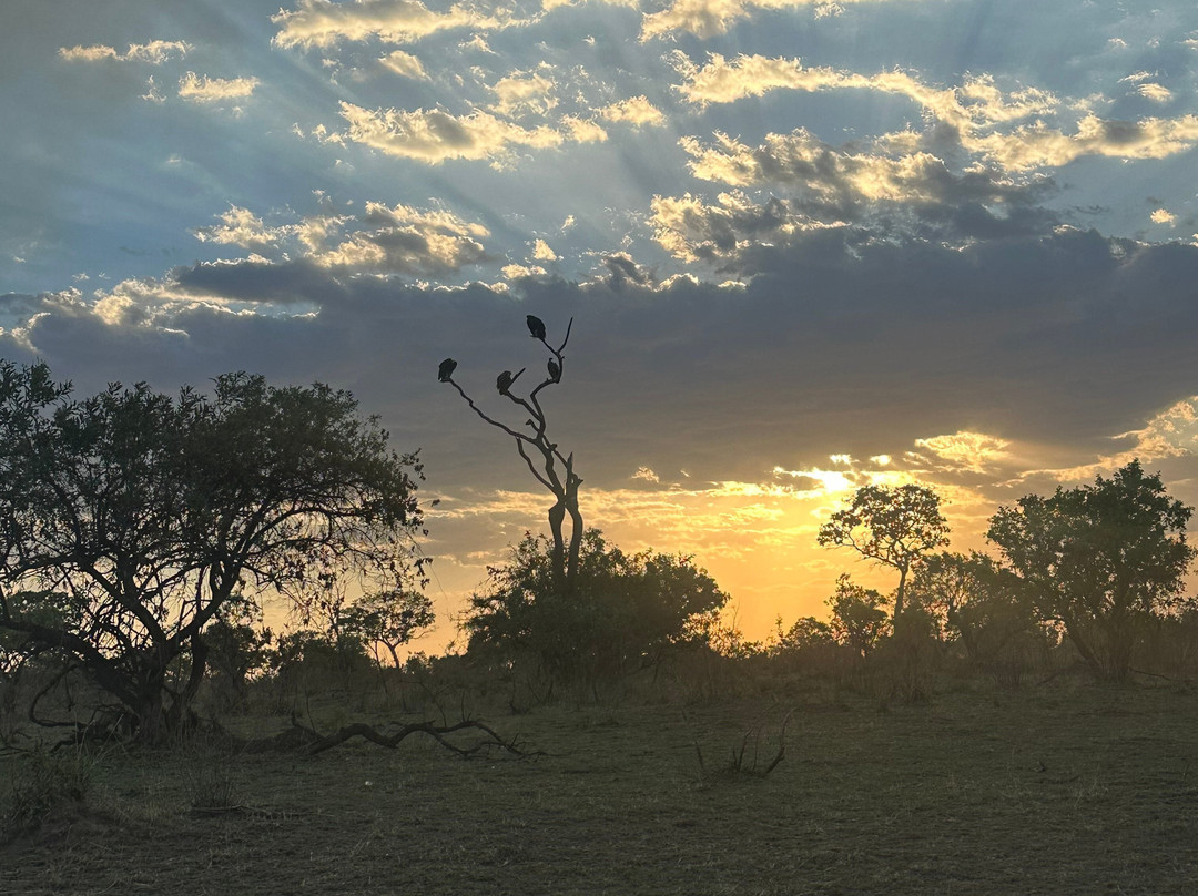 African Scenic Safaris-莫西必去景点
