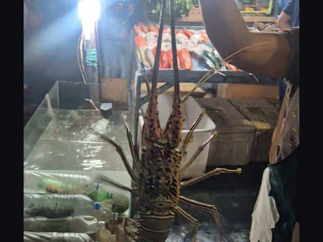 SO Bajo Night Market-Labuan Bajo必去景点
