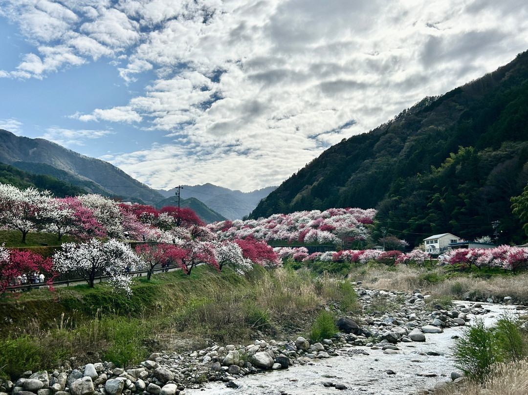 Hanamachi no Sato-阿智村必去景点