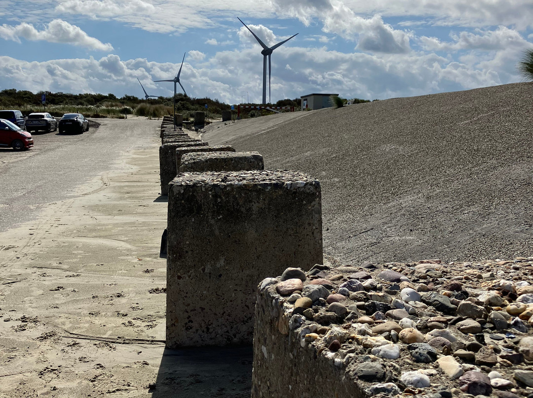 Kathedraal - Marinus Boezem-Vrouwenpolder必去景点