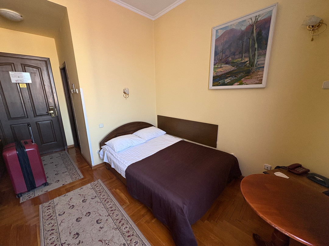 Premier Hotel Star主图