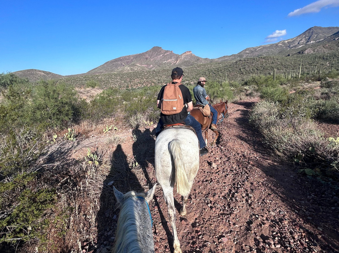 Arizona Horseback Adventures at Spur Cross-洞溪必去景点