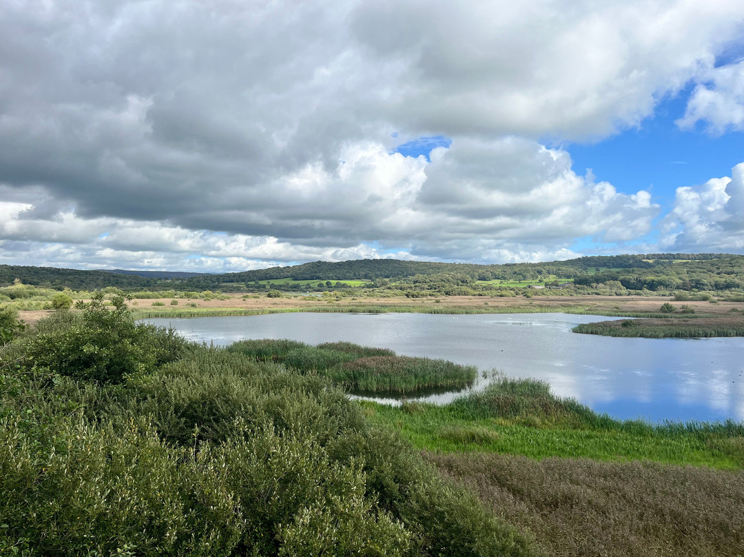 RSPB Leighton Moss Nature Reserve-Silverdale必去景点