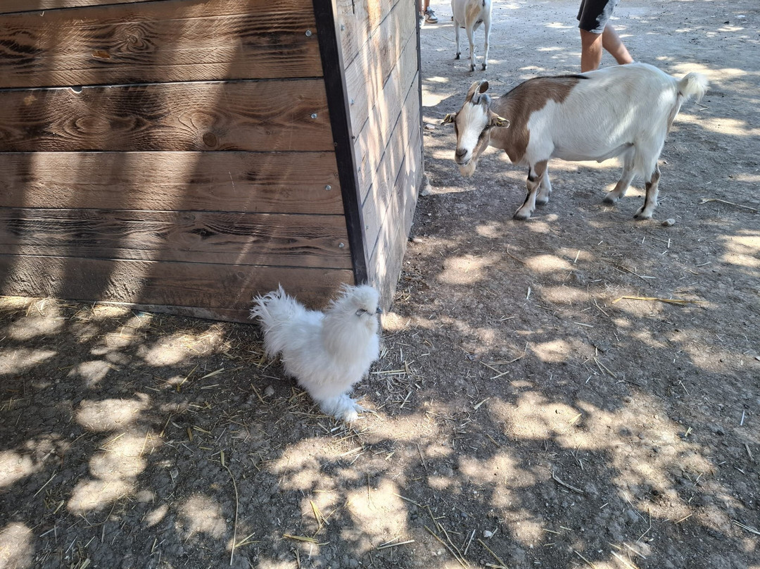 Zoo d'Abruzzo-Rocca San Giovanni必去景点