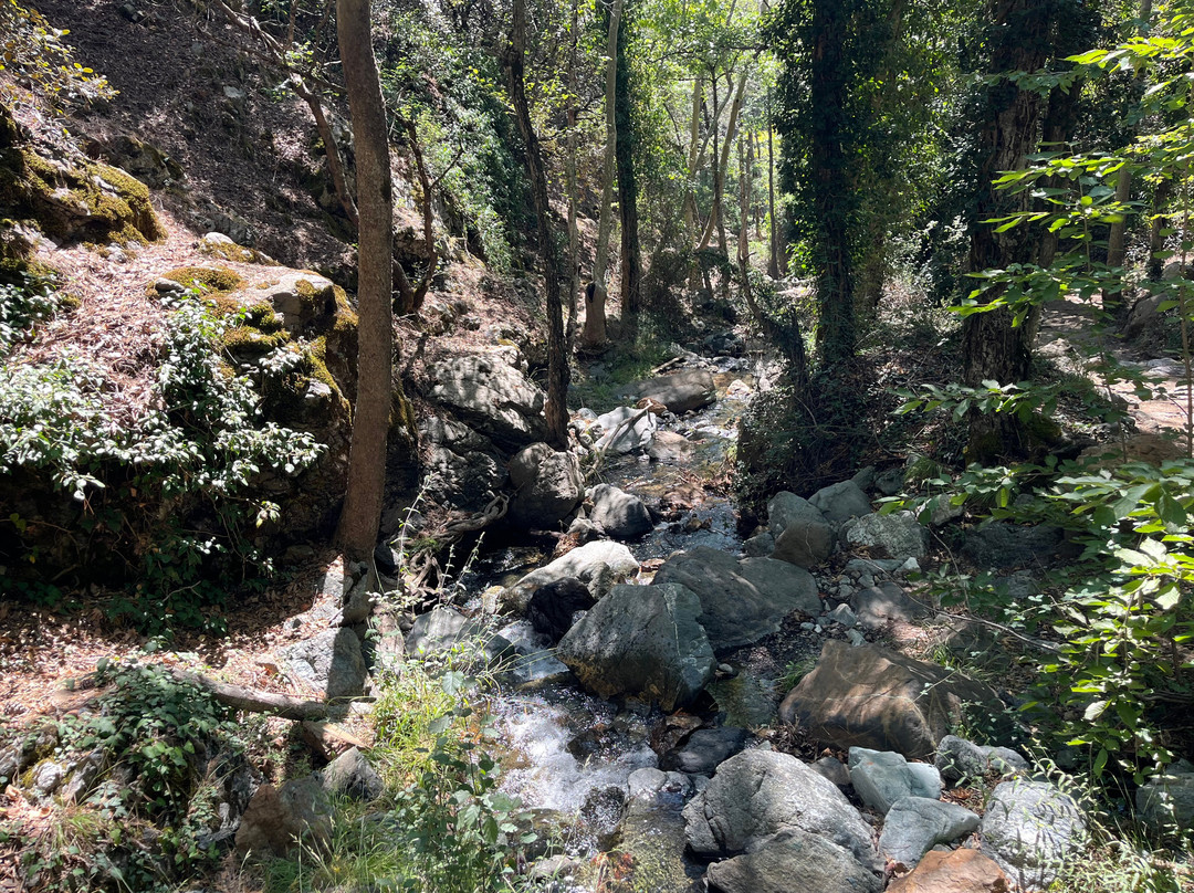 Caledonia Waterfall-帕拉翠斯必去景点