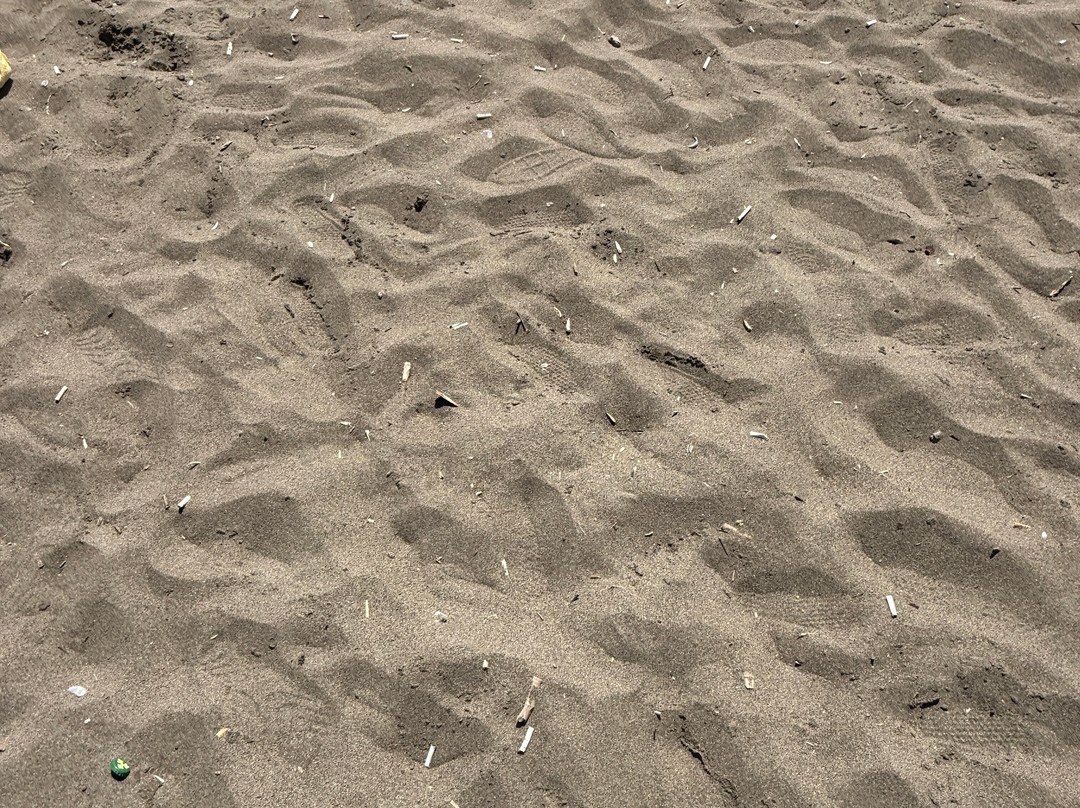 Sarıgerme Beach-穆拉必去景点