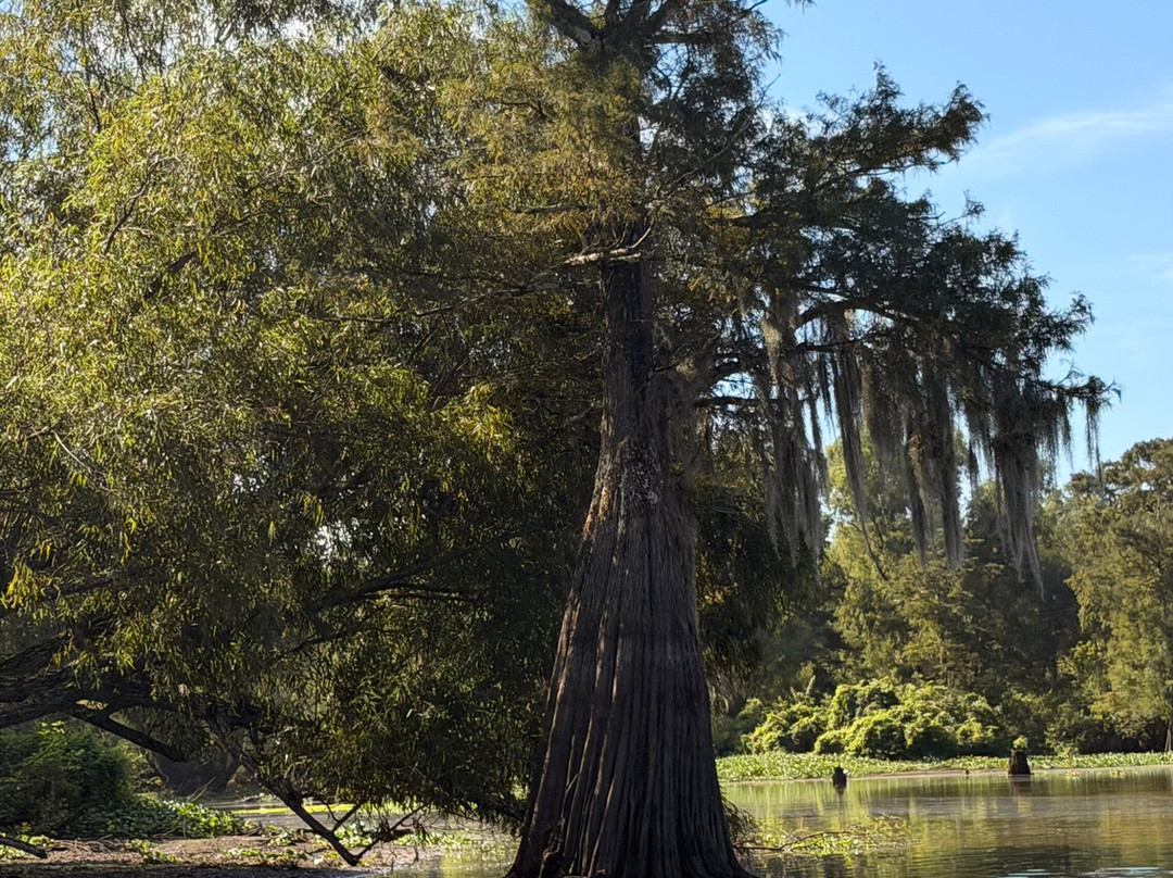 Cajun Customized Excursions-Arnaudville必去景点
