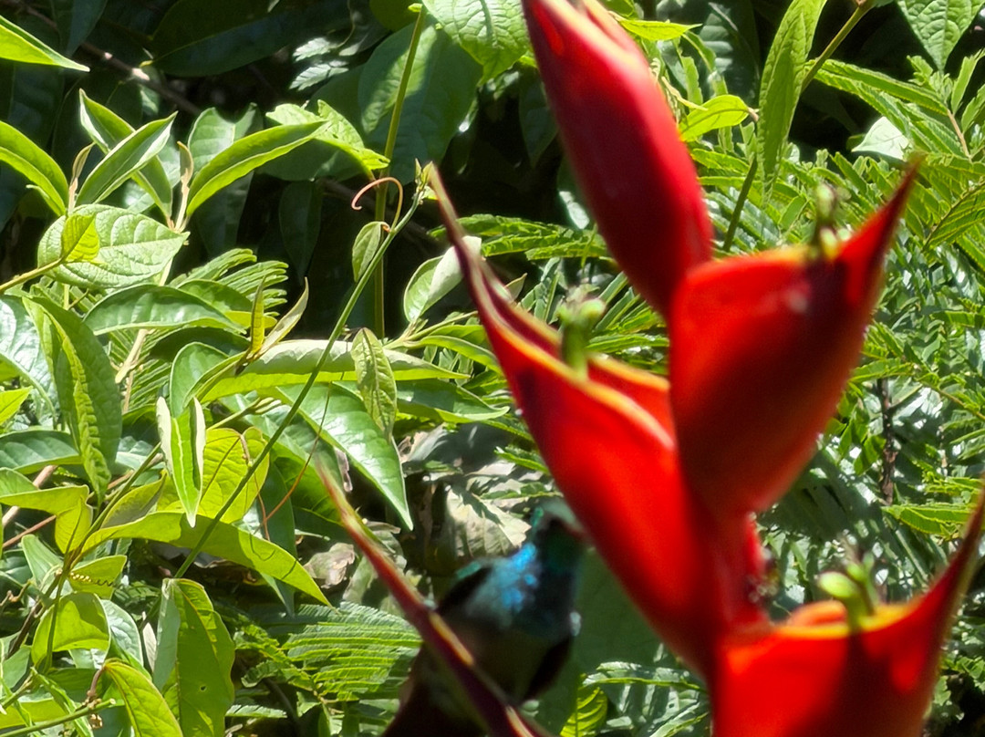 Dave & Dave's Costa Rica Nature Park-La Virgen必去景点