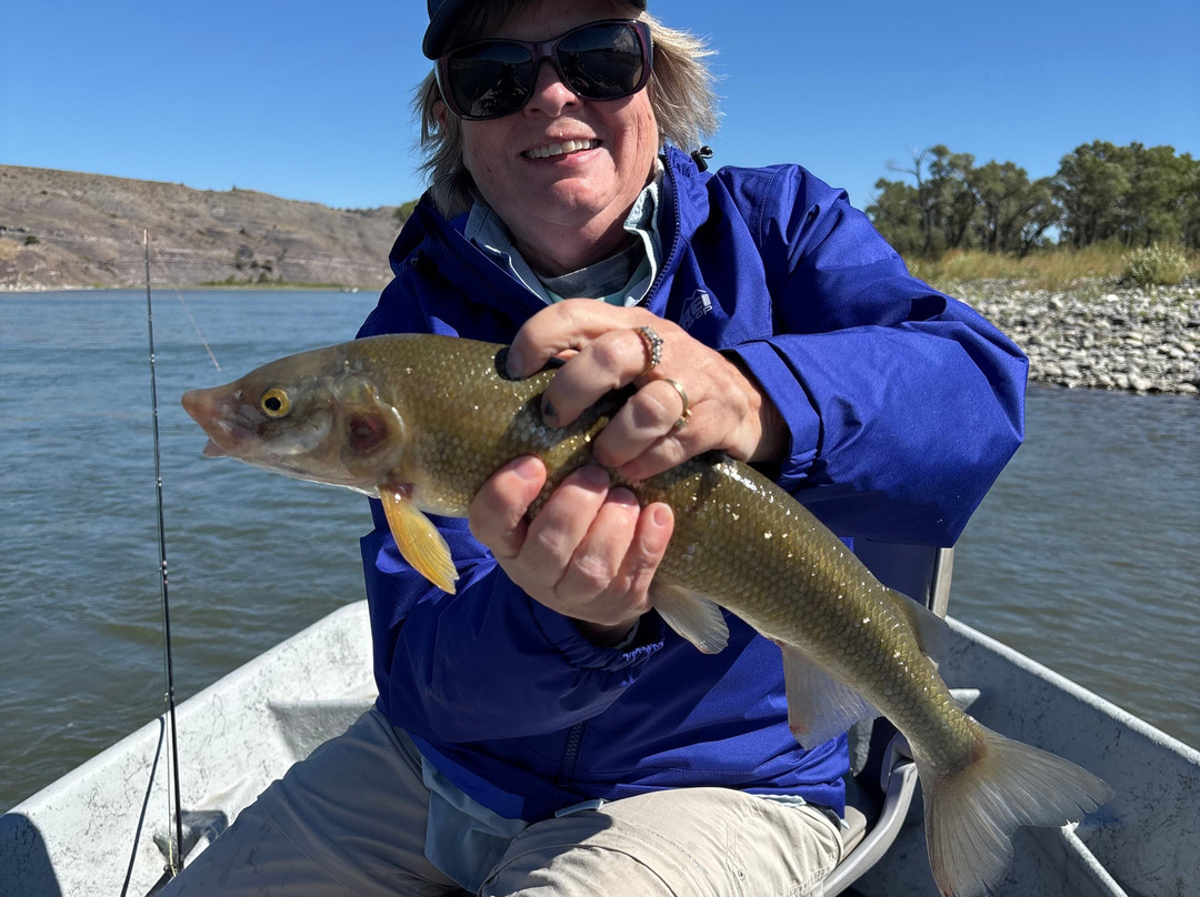 Montana Fly Fishing Guides-利文斯顿必去景点