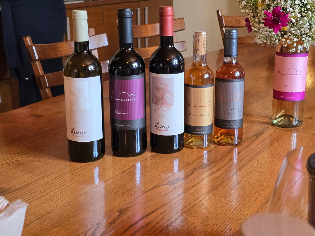 EatIstria Cooking Classes & Wine Tours-普拉必去景点