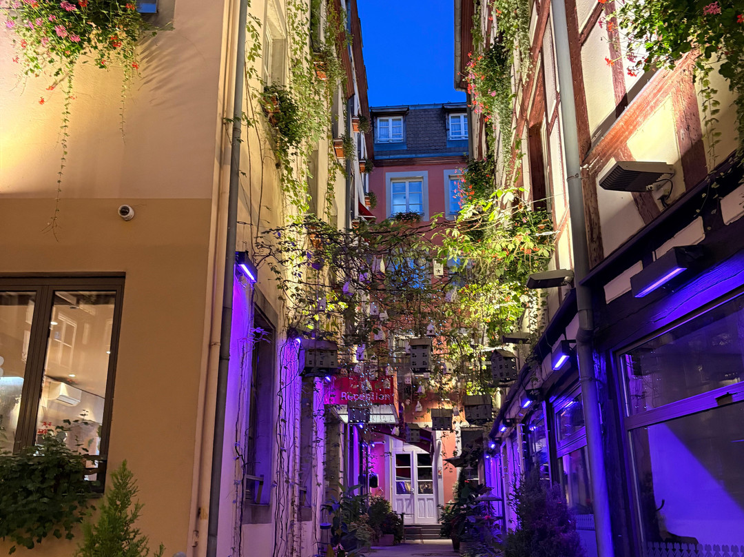 宝库尔酒店主图