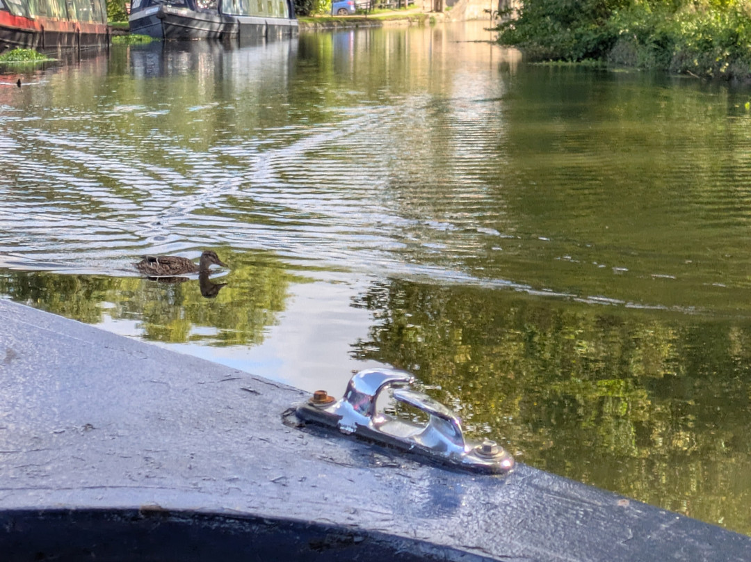 Lancashire Canal Cruises-Burscough必去景点