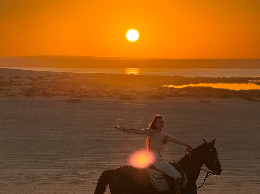 Horse Trips Egypt-Tunis必去景点
