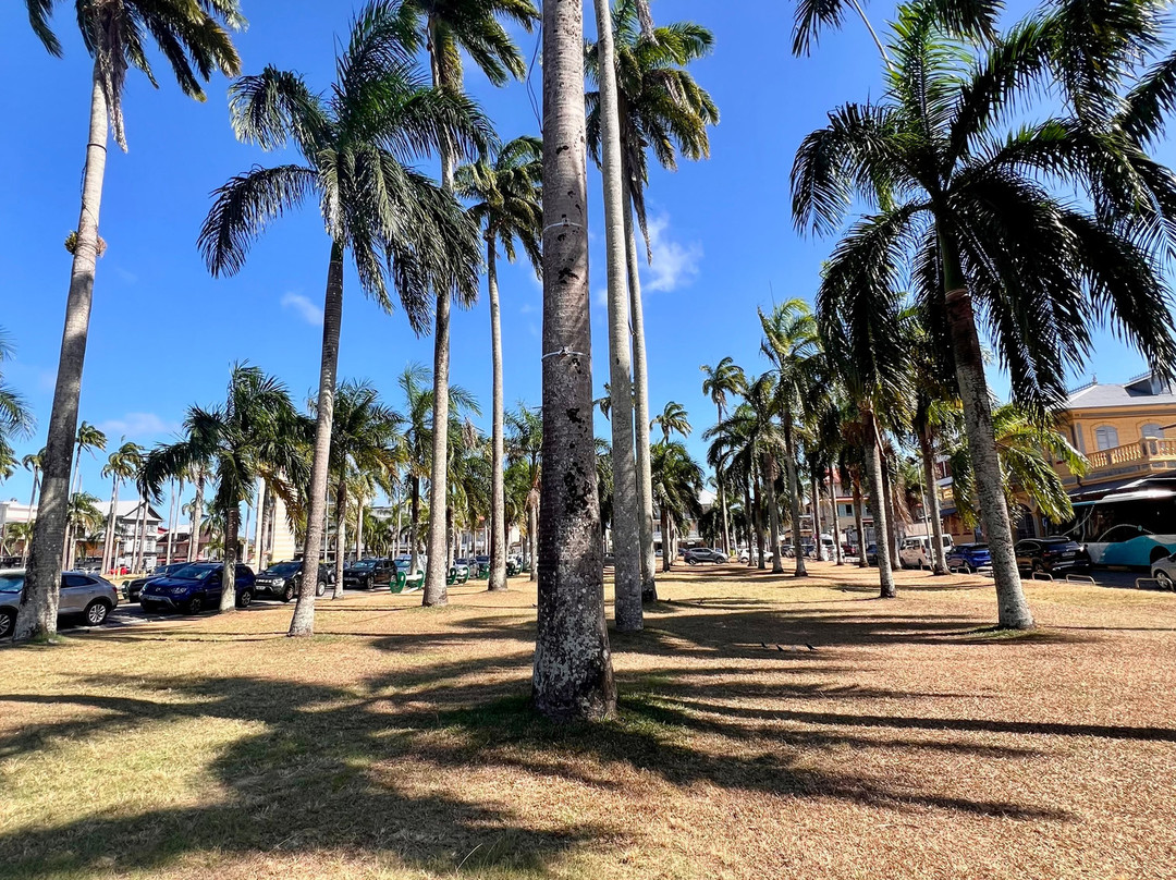 Place des Palmistes-卡宴必去景点