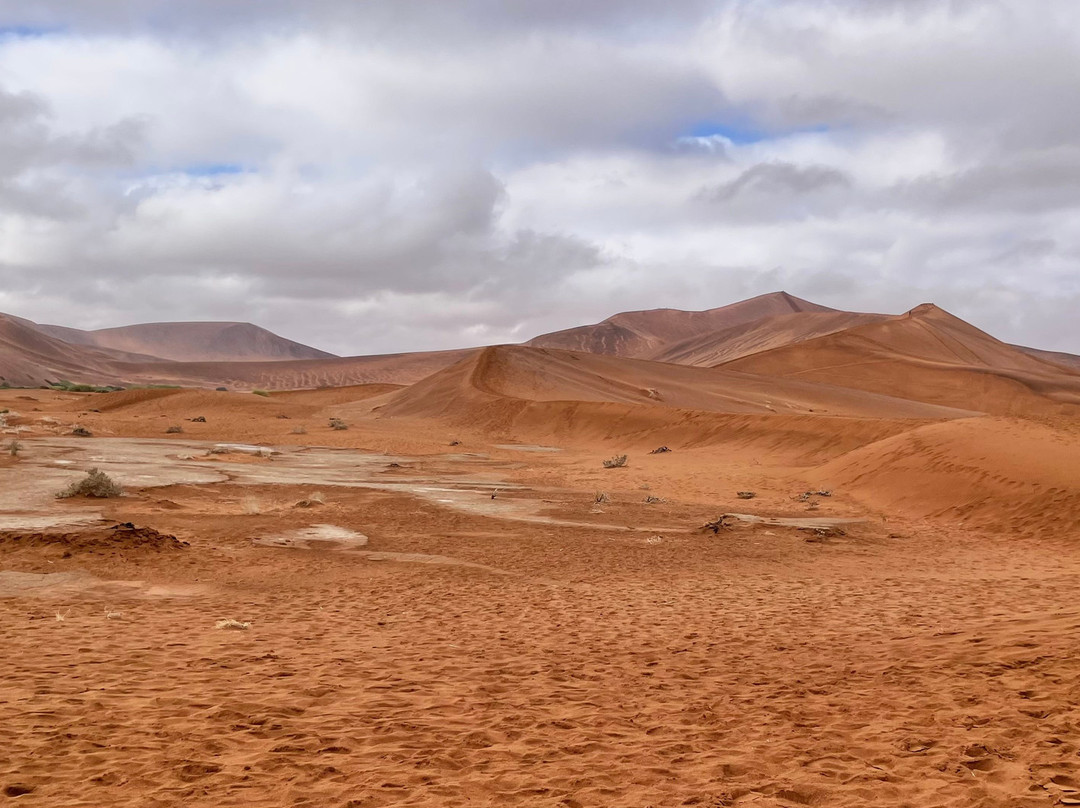 Deadvlei-苏丝斯黎必去景点