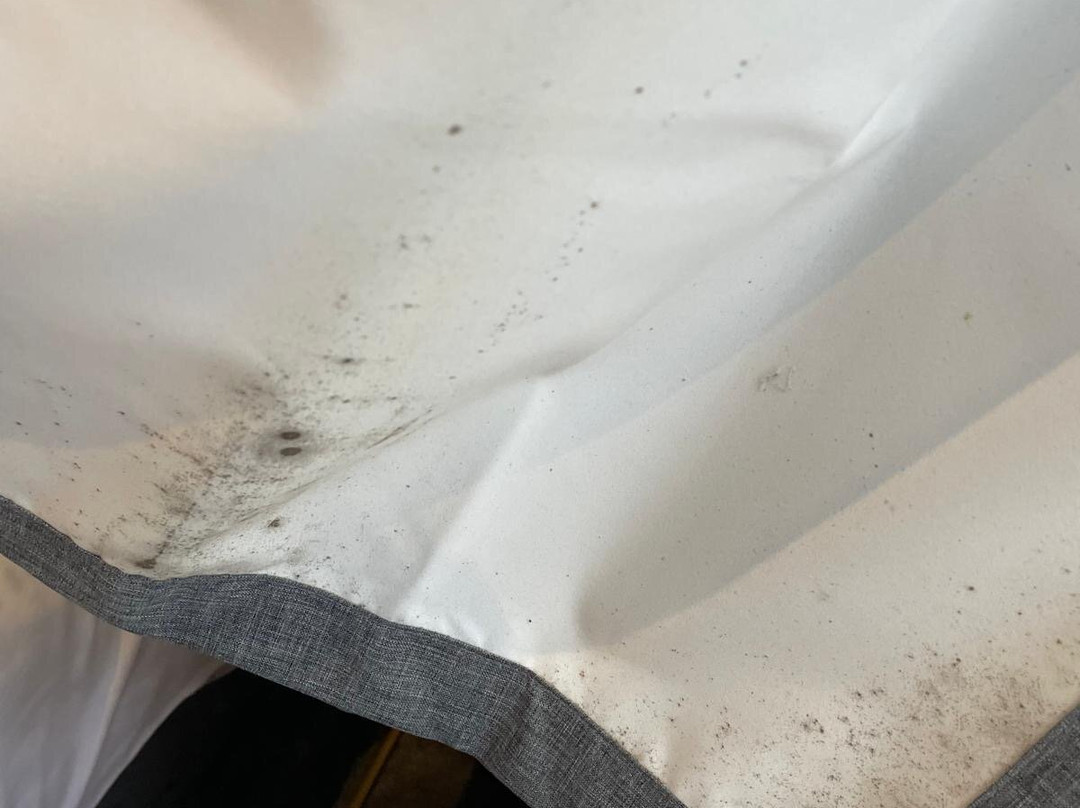 金色的羊毛酒店主图