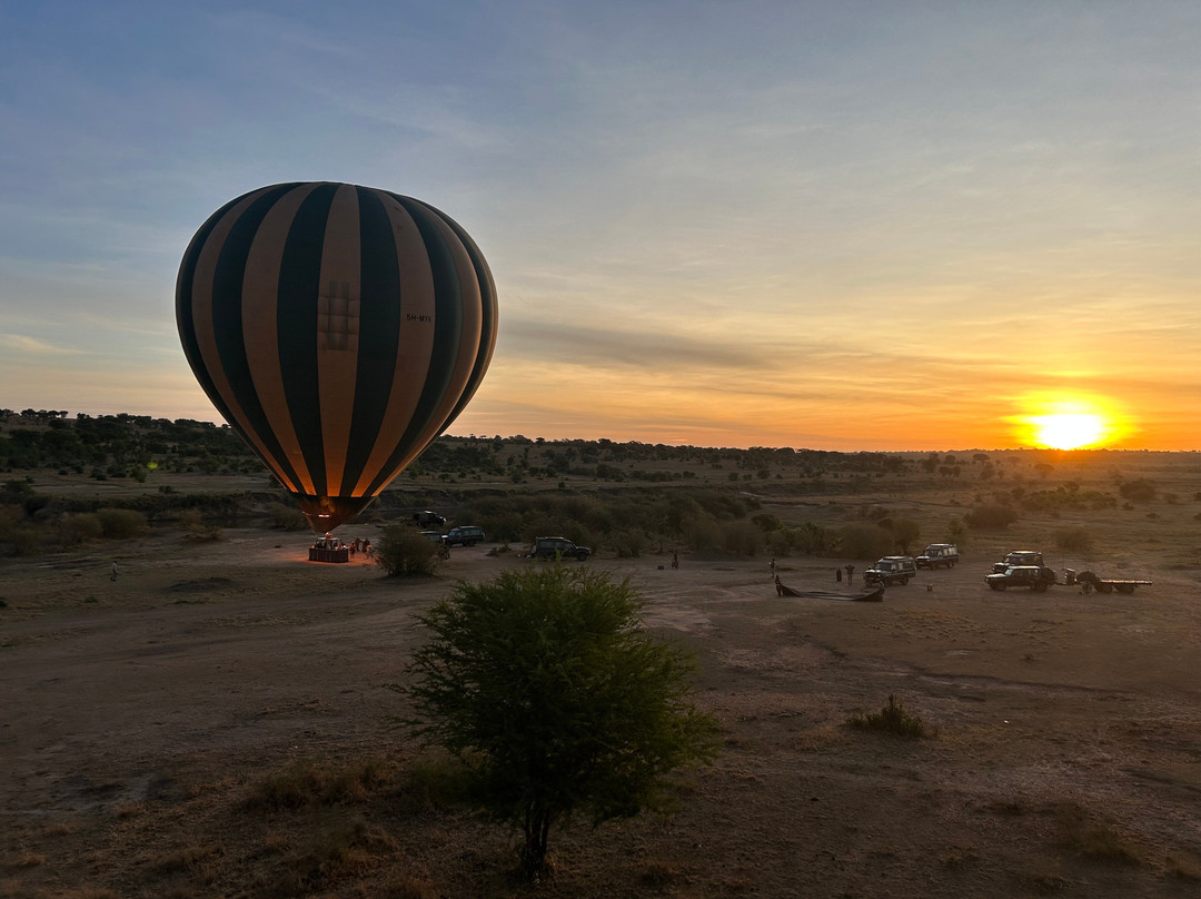 Serengeti Balloon Safaris-塞伦盖蒂国家公园必去景点