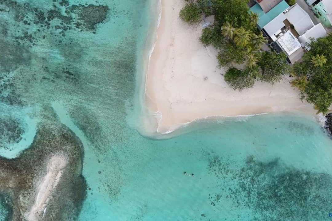 Oceanvine Maldives