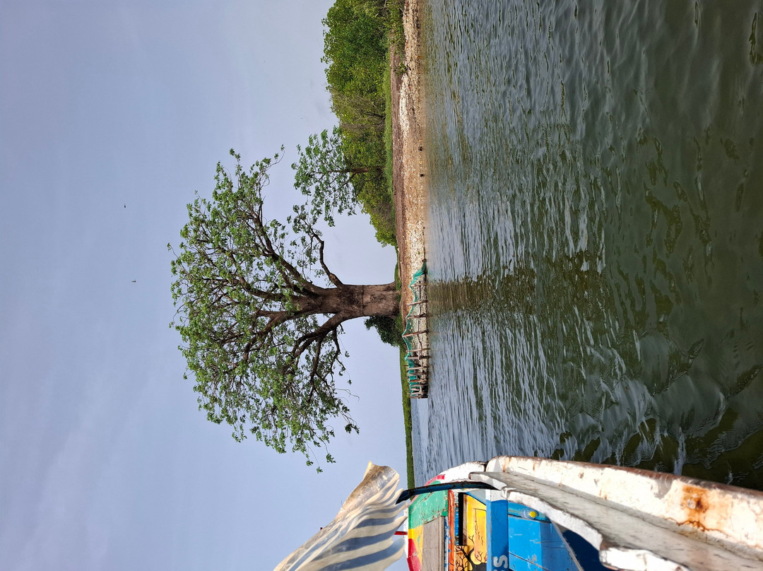 Malick Travel Senegal-Ponto必去景点