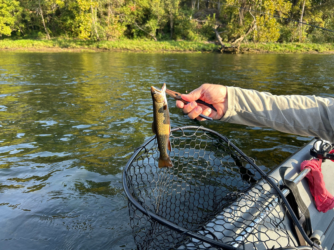 Papa Bill's White River Trout Guide Service-Bull Shoals必去景点
