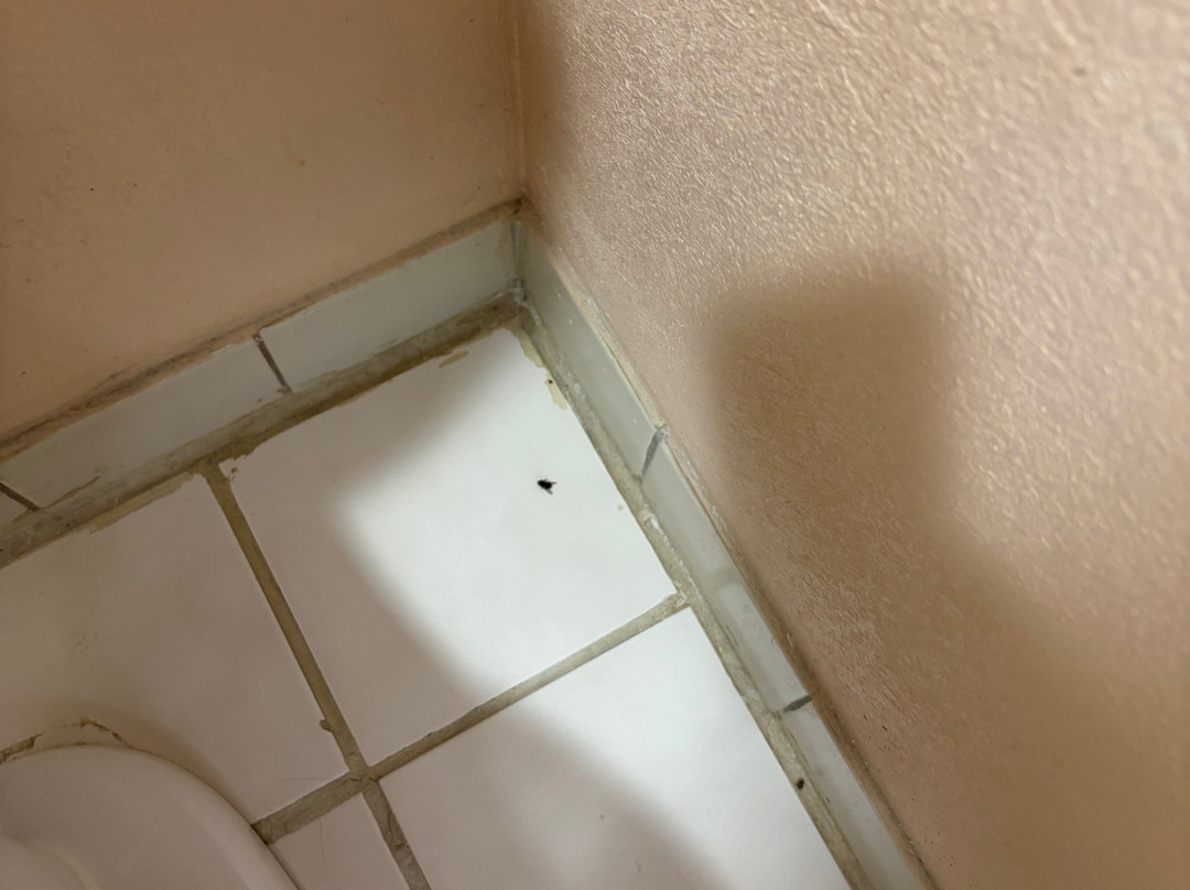 斯普林菲尔德呗盟套房酒店主图
