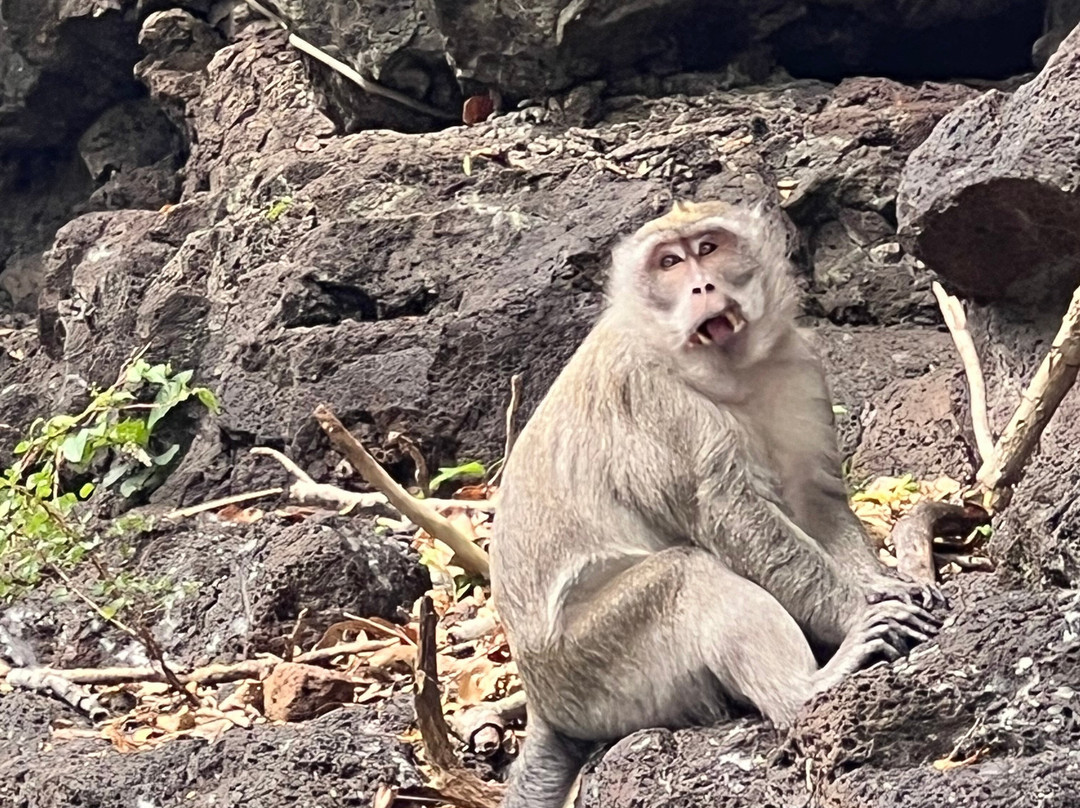 Mr Ro Mauritius Tours-波特弗拉克必去景点