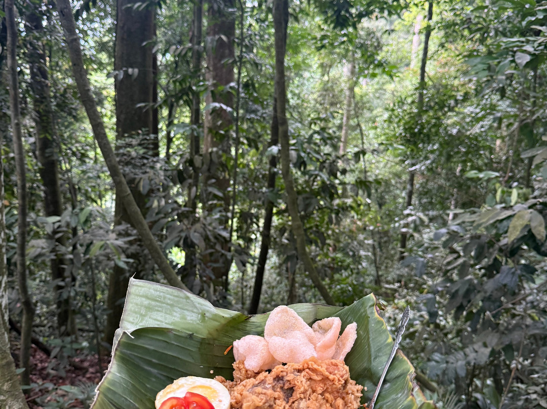 Sumatra Tour Adventures-武吉拉旺必去景点