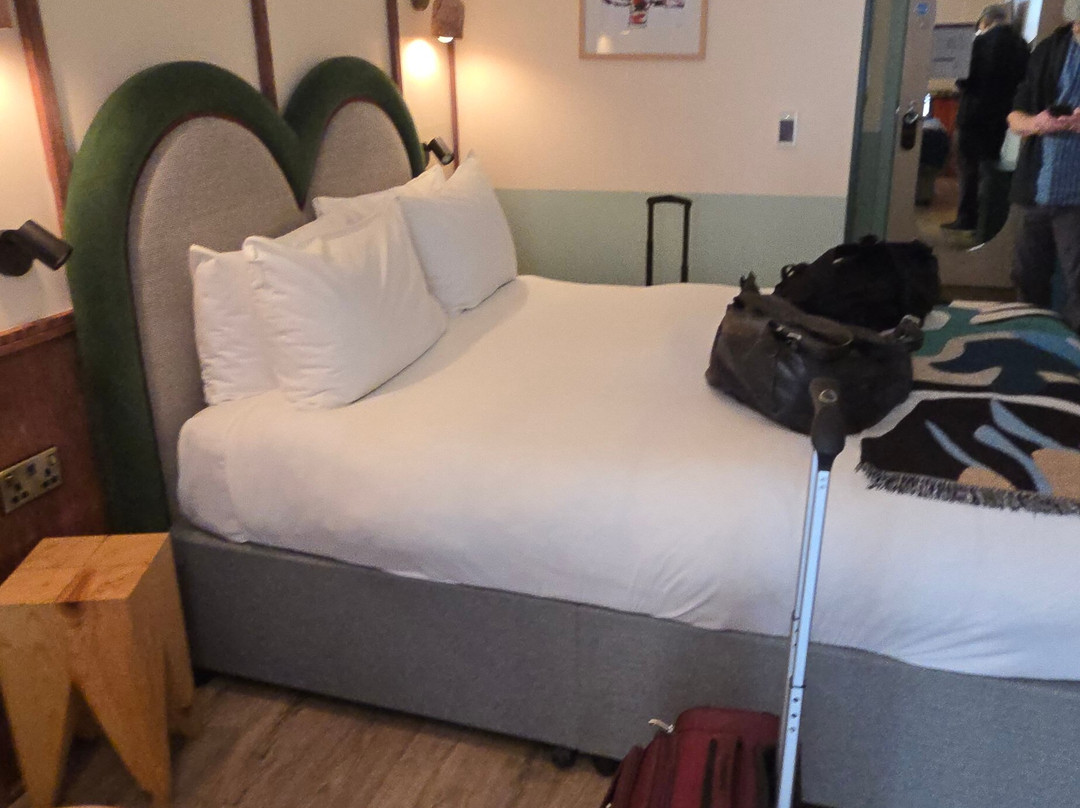 贝尔法斯特家庭旅馆主图