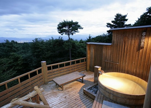 小诸市酒店住宿-Hishino Onsen Tokiwakan