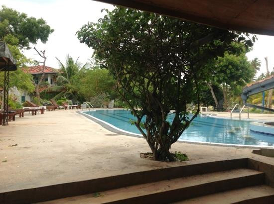 Medilla酒店住宿-自然小屋住宿加早餐旅馆