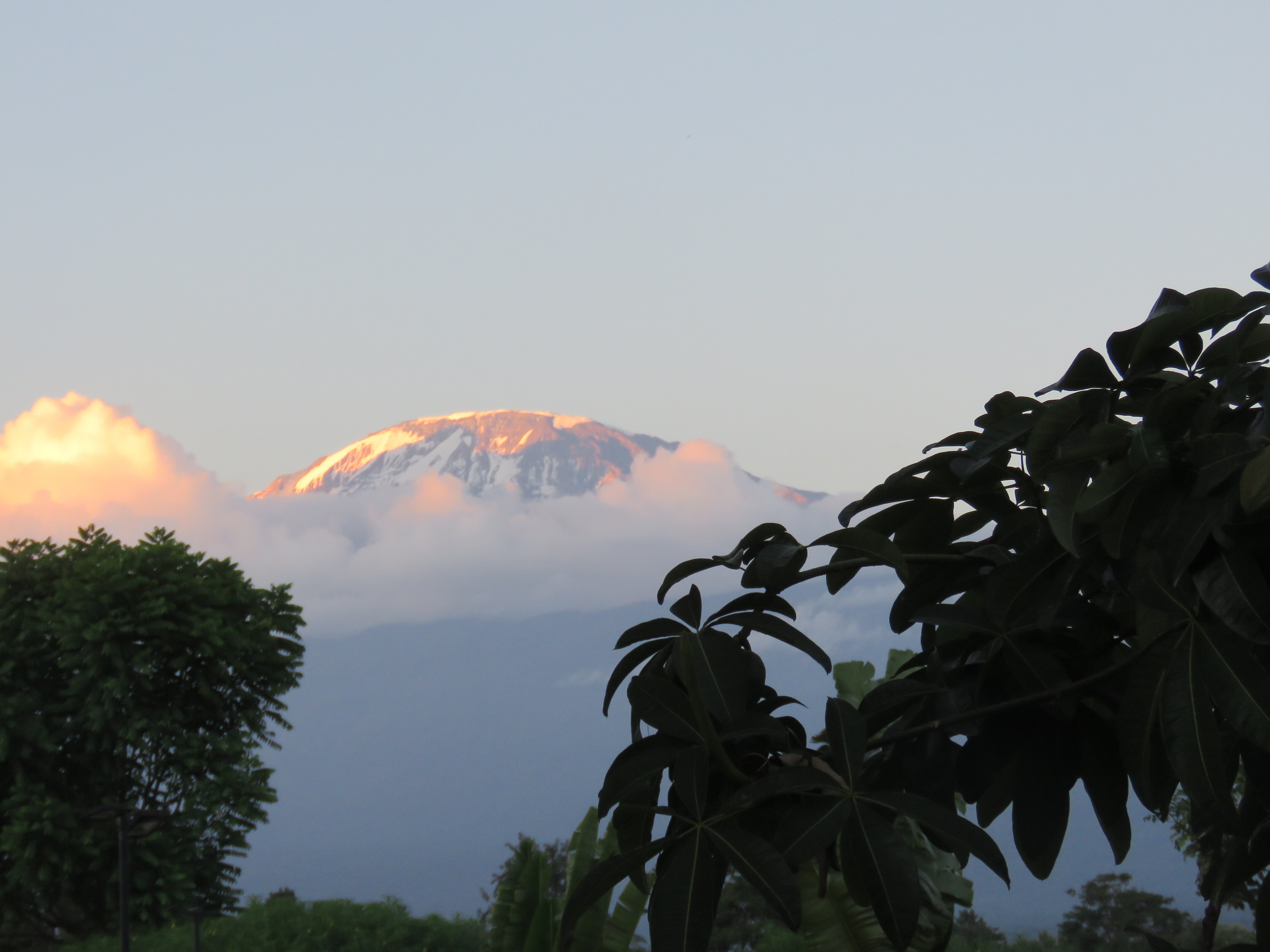Kilimanjaro White House Hotel-官方