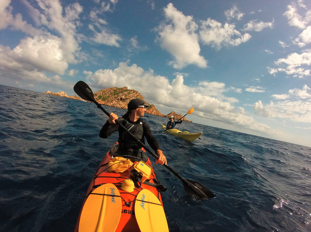 Go Sea Kayak-奥尔比亚必去景点