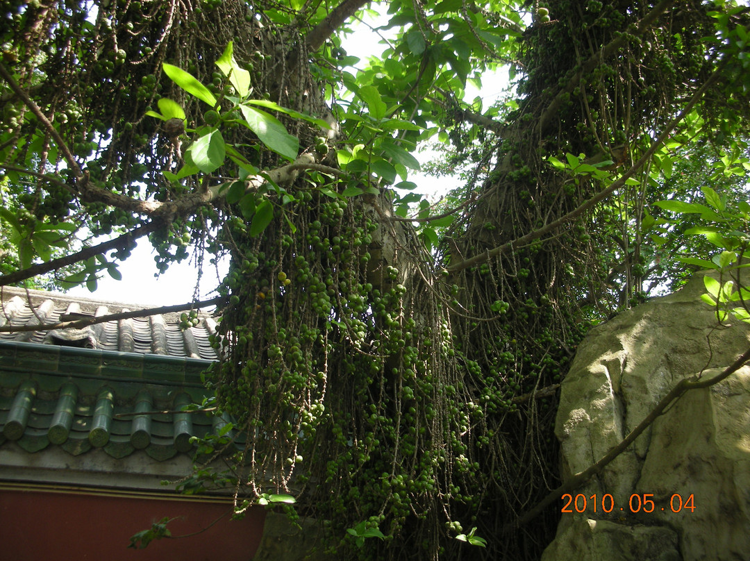 北京速8首都机场后沙峪地铁站店主图