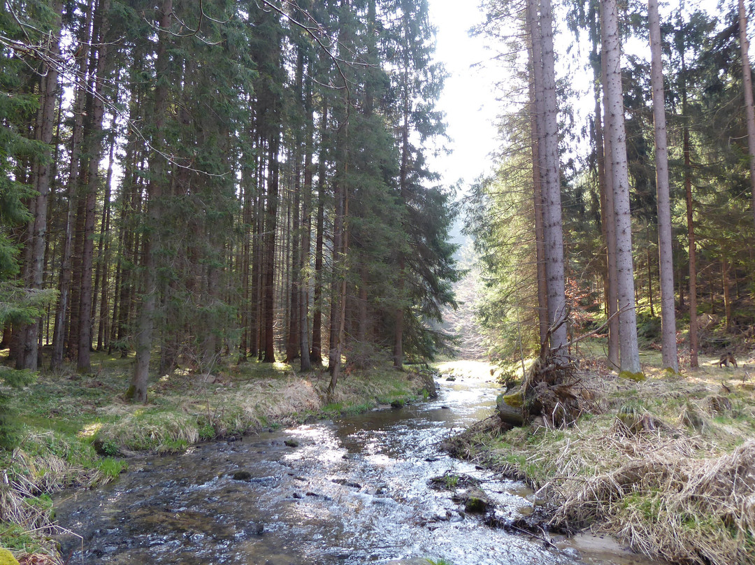 Thurytal-Freistadt必去景点