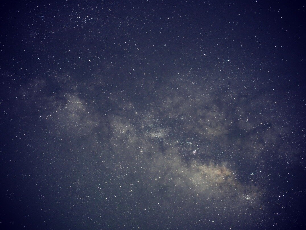 The George Walker House主图