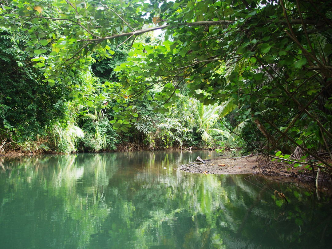 Indian River景点图片