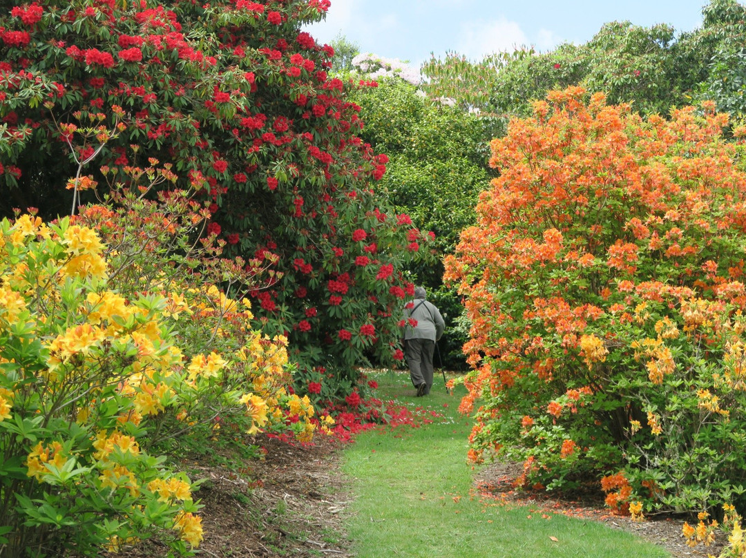 Waipahihi Botanical Gardens景点图片