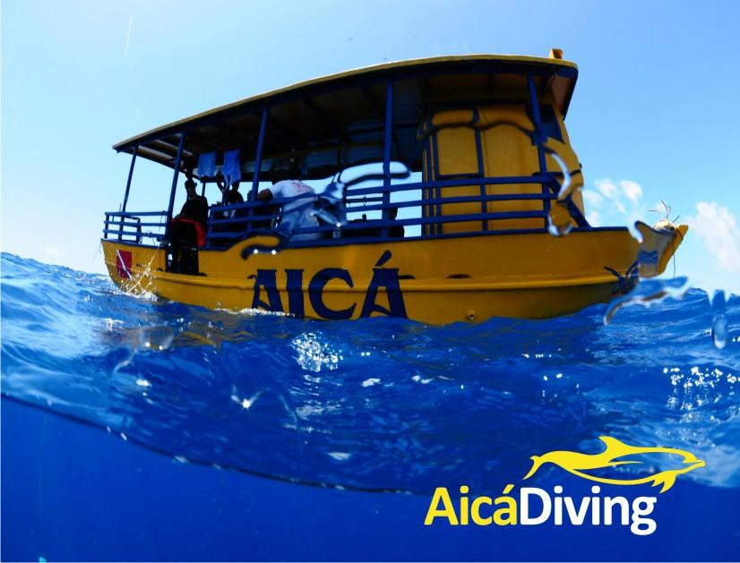 Aicádiving - Centro De Mergulho - Recife-累西腓必去景点