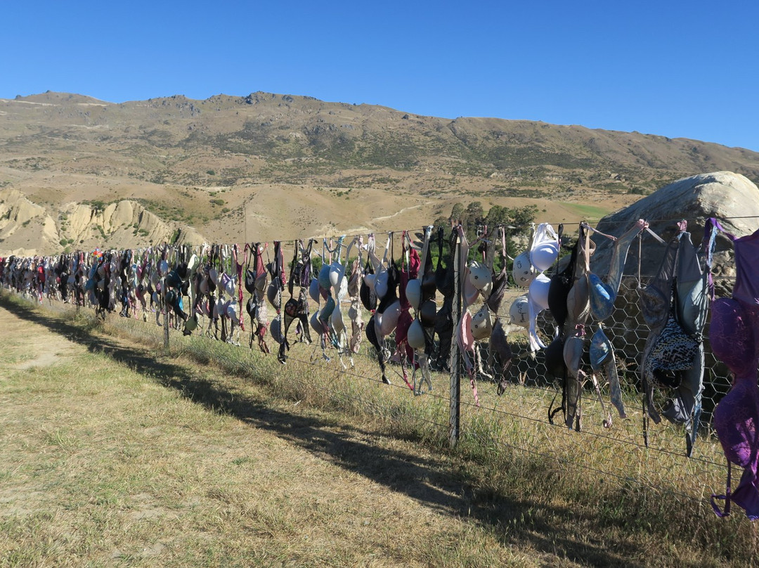 Cardrona Bra Fence景点图片