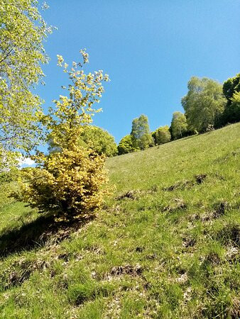 Via dei Monti Lariani-切尔诺比奥必去景点