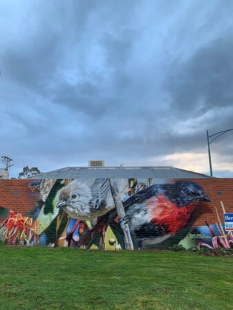 Wedderburn Goldseeker Motel主图