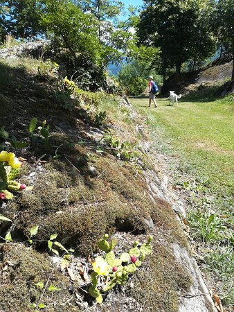 Parco Archeologico Comunale di Seradina-Bedolina景点图片