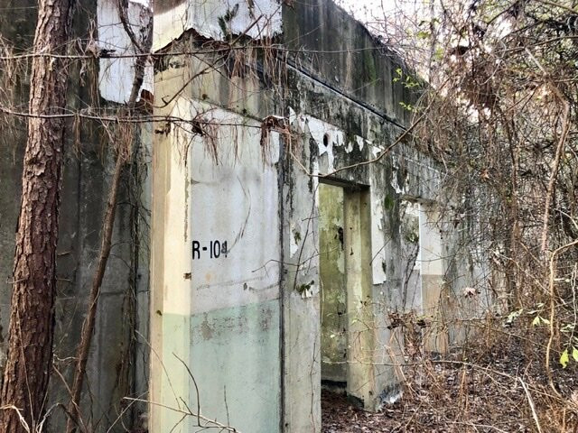Caddo Lake National Wildlife Refuge-Karnack必去景点